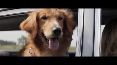 'A Dog's Purpose' english trailer