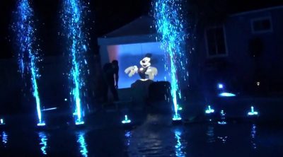 Homemade Disneyland show