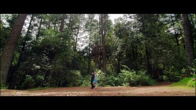 Trailer 'Alicia's Dream'