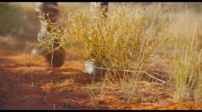'Earth: One Amazing Day' Trailer