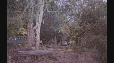 'Too Late To Die Young' Spanish Trailer