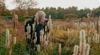 'Five Seasons: The Gardens of Piet Oudolf' teaser