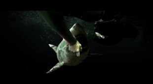 '47 meters down: uncaged' trailer