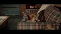 'The Wolf and the Lion' Official Trailer