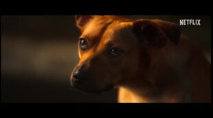 'Caramelo' Trailer from Netflix