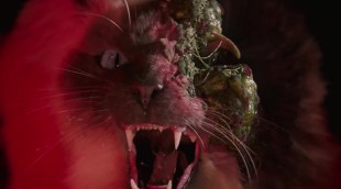 Trailer 'Cold Storage' (2026)