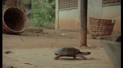 Trailer VOSE 'My Father's Shadow'