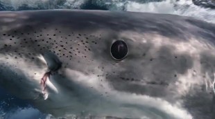 Trailer 'Chum' (2026)
