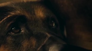 Trailer 'Heart of the Beast' (2026)