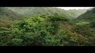 Final Trailer 'The Hunger Games: Catching Fire'