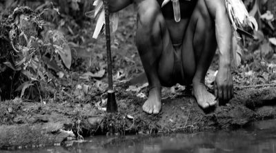 'Embrace of the serpent' trailer