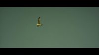 'Notes on Blindness' Clip
