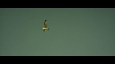 'Notes on Blindness' Clip